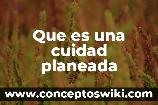 Yogut griego que es 8 Que es una cuidad planeada