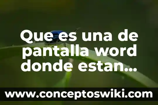 Que es integral word 6 Que es una de pantalla word donde estan los comandos