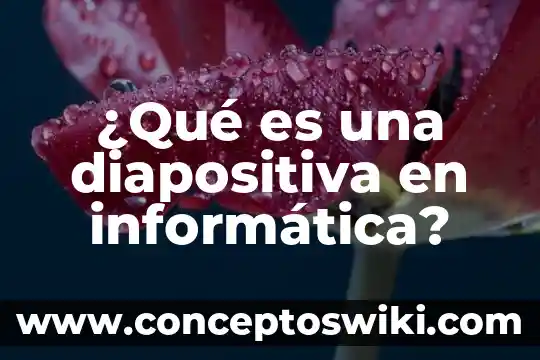 Qué es una abstracción informática 4 ¿Qué es una diapositiva en informática?