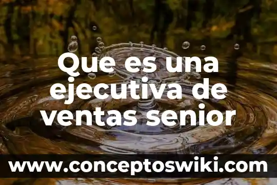 Qué es lo que hace el supervisor de ventas 3 Que es una ejecutiva de ventas senior