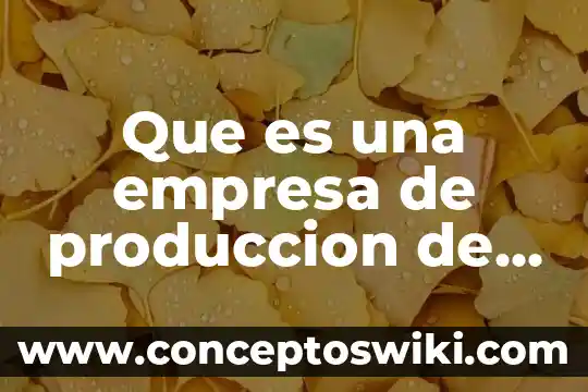 Que es un resumen ejecutivo de una empresa ejemplo 4 Que es una empresa de produccion de bienes y servicios