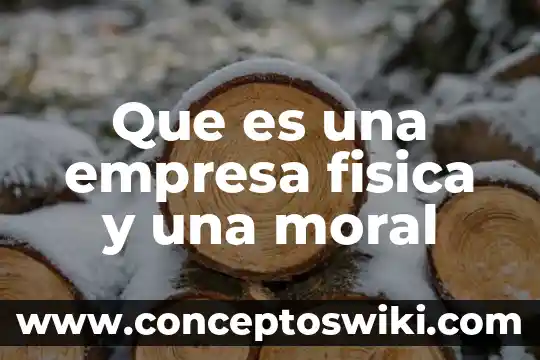Que es persona moral mexico 7 Que es una empresa fisica y una moral