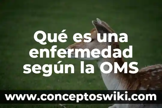 Que es combatir segun la oms 7 Qué es una enfermedad según la OMS