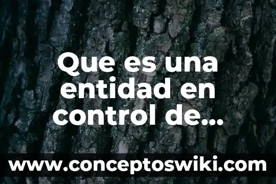 Que es el significado y significacion 5 Que es una entidad en control de calidad