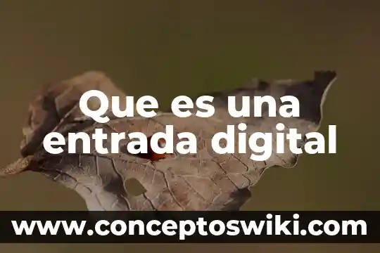 Qué es un accesorio de ciudadanía digital 8 Que es una entrada digital