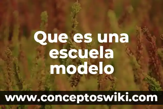 Adaptaci贸n en la escuela que es 8 Que es una escuela modelo