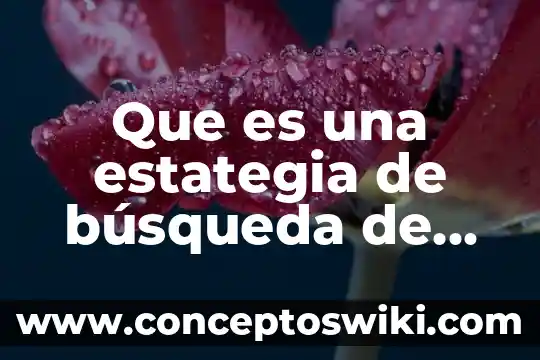 Que es la privacidad digital informacion confiable revista 7 Que es una estategia de búsqueda de información