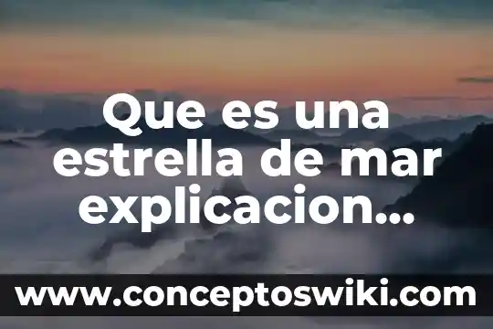 Que es mejor para la presion arterial el mar 8 Que es una estrella de mar explicacion para niños