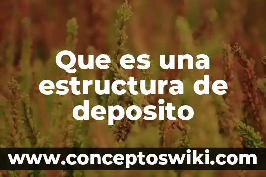 Qué es un párrafo y como se estructura 8 Que es una estructura de deposito