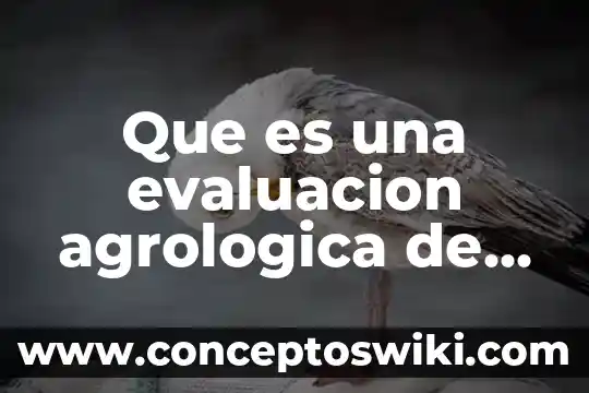 Por que es importante la evaluacion de impacto ambiental 7 Que es una evaluacion agrologica de un terreno
