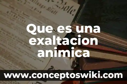 Que es dm en electronica 3 Que es una exaltacion animica