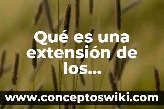 Qué es un extensión de trabajo 3 Qué es una extensión de los navegadores web