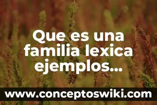 Qué es fonética y sus ejemplos 7 Que es una familia lexica ejemplos cortos