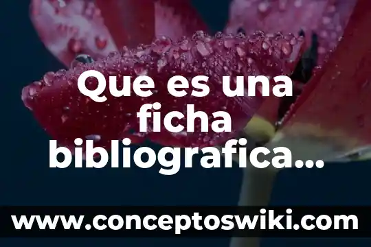 Que es una carga electrica y en que se mide 6 Que es una ficha bibliografica cuanto mide y ejemplo