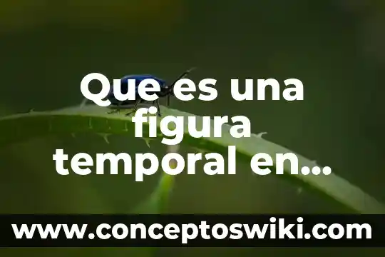 Describe lo que es la literatura hipertextual 5 Que es una figura temporal en literatura