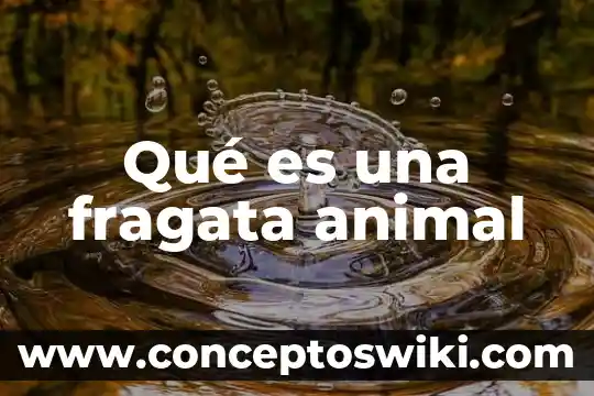 Qué es un animal transgénico en la biodiversidad 5 Qué es una fragata animal