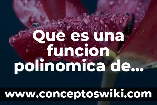 Que es un sol en farmaceutica 4 Que es una funcion polinomica de segundo grado