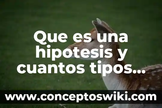 Qué es imán y cuántos tipos existen 5 Que es una hipotesis y cuantos tipos de hipotesis hay