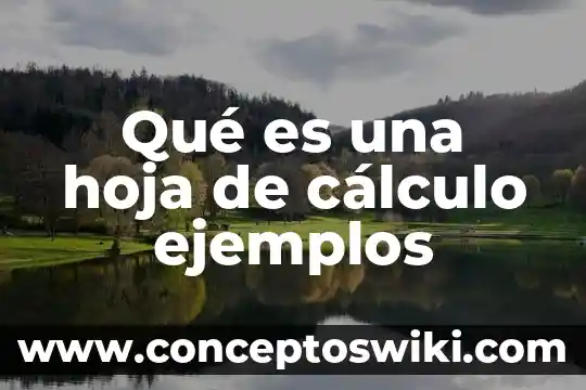 Por que es importante el escudo 8 Qué es una hoja de cálculo ejemplos
