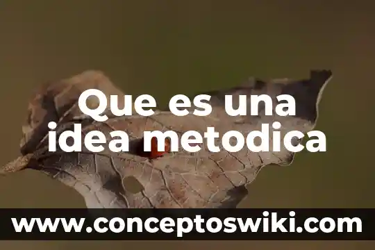 Por que es importante refutar una idea segun popper 6 Que es una idea metodica