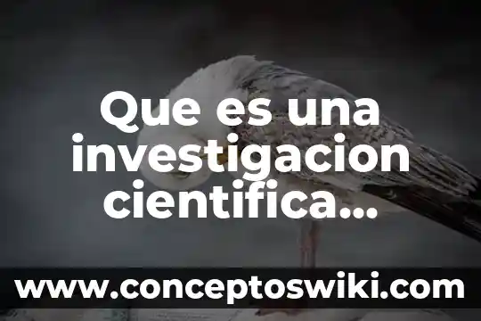 Qué es notación científica con ejemplos 8 Que es una investigacion cientifica definicion
