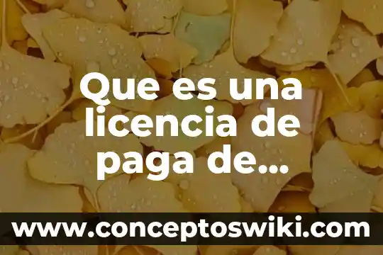 Impuesto sobre nóminas que es como se paga 4 Que es una licencia de paga de software
