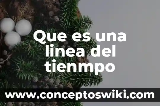 Que es la linea de productos de una empresa 6 Que es una linea del tienmpo