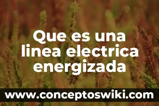 Qué es liderazgo en línea 7 Que es una linea electrica energizada