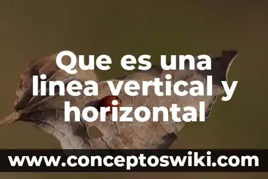 Que es linea de detalle oculto 3 Que es una linea vertical y horizontal