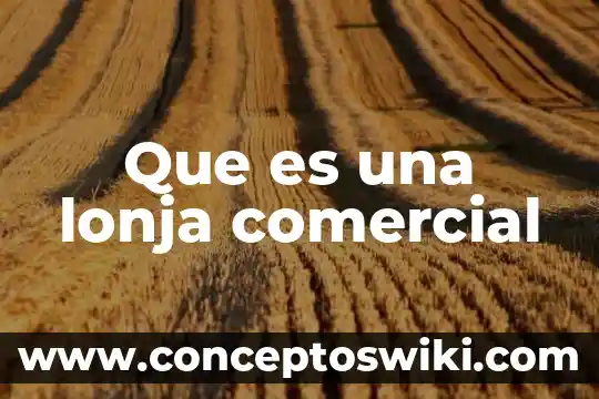 Que es un gero comercial 4 Que es una lonja comercial