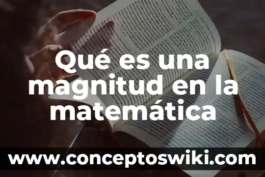 Qué es la magnitud de un número 4 Qué es una magnitud en la matemática