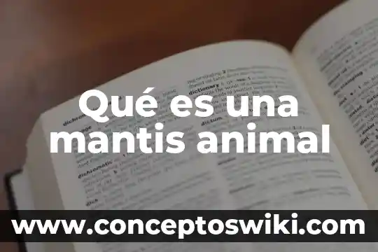Qué es contagio en animal 7 Qué es una mantis animal