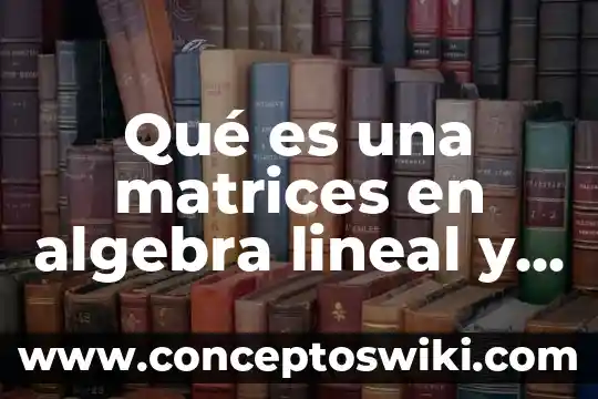 Que es modelo de regresion lineal 6 Qué es una matrices en algebra lineal y tipos