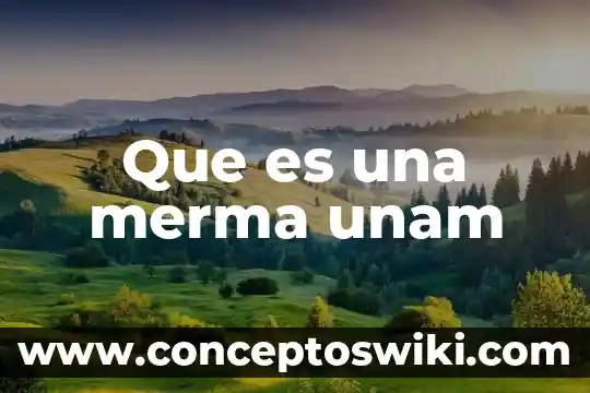 Qué es merma en administración 6 Que es una merma unam