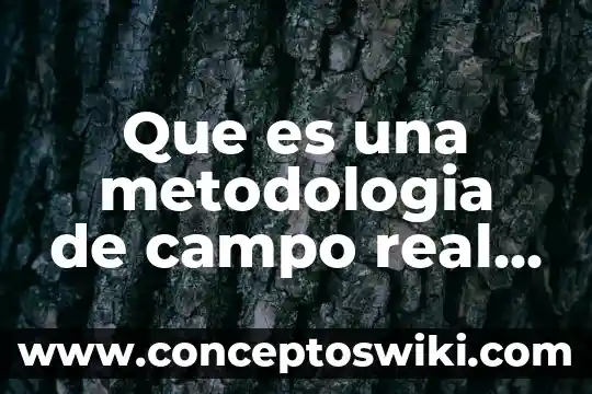 Que es una organizacion academia de la lengua 4 Que es una metodologia de campo real academia española