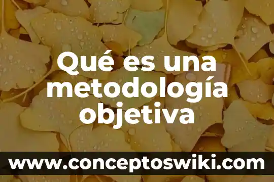 Qué es la metodología RMM para desarrollo web 7 Qué es una metodología objetiva