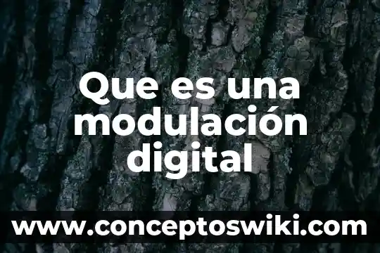 Qué es la teoría de la modulación 5 Que es una modulación digital