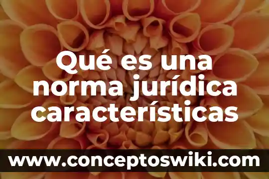 Que es una norma y su proceso 4 Qué es una norma jurídica características