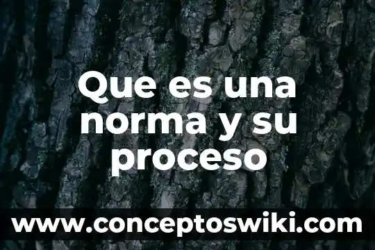 Qué es primero una ley, una norma o un reglamento 6 Que es una norma y su proceso