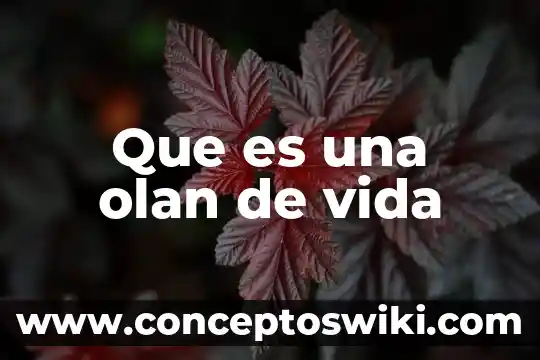 Qué es la vida según lo espiritual 8 Que es una olan de vida