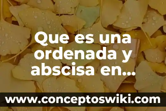 Que es la conductividad quimica analitica 6 Que es una ordenada y abscisa en geometria analitica ejemplos