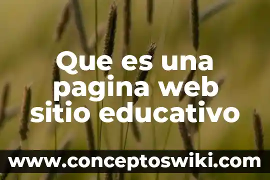 Qué es un reporte de página web 8 Que es una pagina web sitio educativo