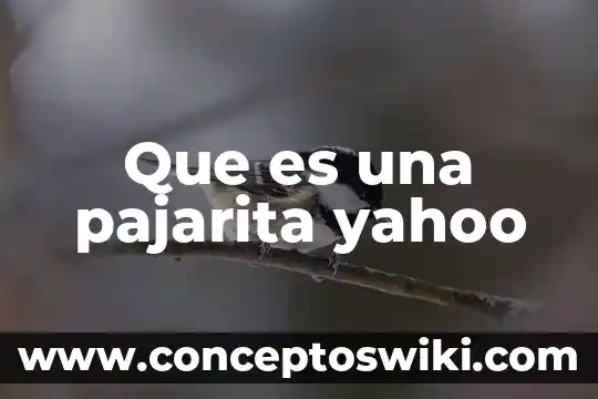 Que es el proyecto haarp yahoo 5 Que es una pajarita yahoo