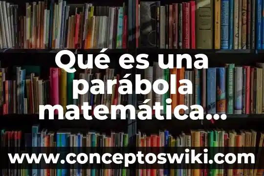 Concepto de soliraridad definicion significado y que es 6 Qué es una parábola matemática definición