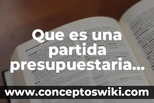 Que es una partida arancelaria 3 Que es una partida presupuestaria bolivia