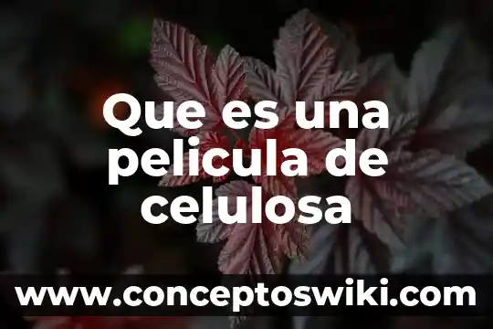 Que es celulosa ejemplos 4 Que es una pelicula de celulosa
