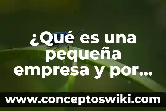 Qué es una empresa sólida 6 ¿Qué es una pequeña empresa y por qué es importante?