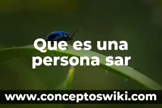 Que es soñar sacando piojos a otra persona 7 Que es una persona sar