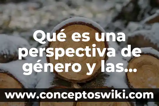 Qué es la perspectiva en tecnología 6 Qué es una perspectiva de género y las masculinidades