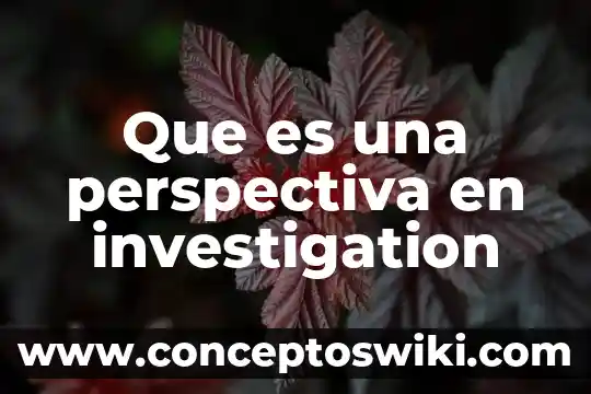 Qué es la perspectiva en tecnología 7 Que es una perspectiva en investigation